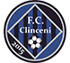 FC Academica Clinceni