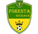 Foresta Suceava